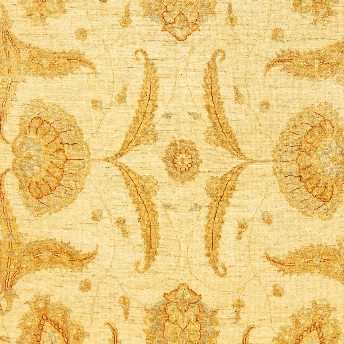 Ziegler Rug - 255 x 201 cm - beige