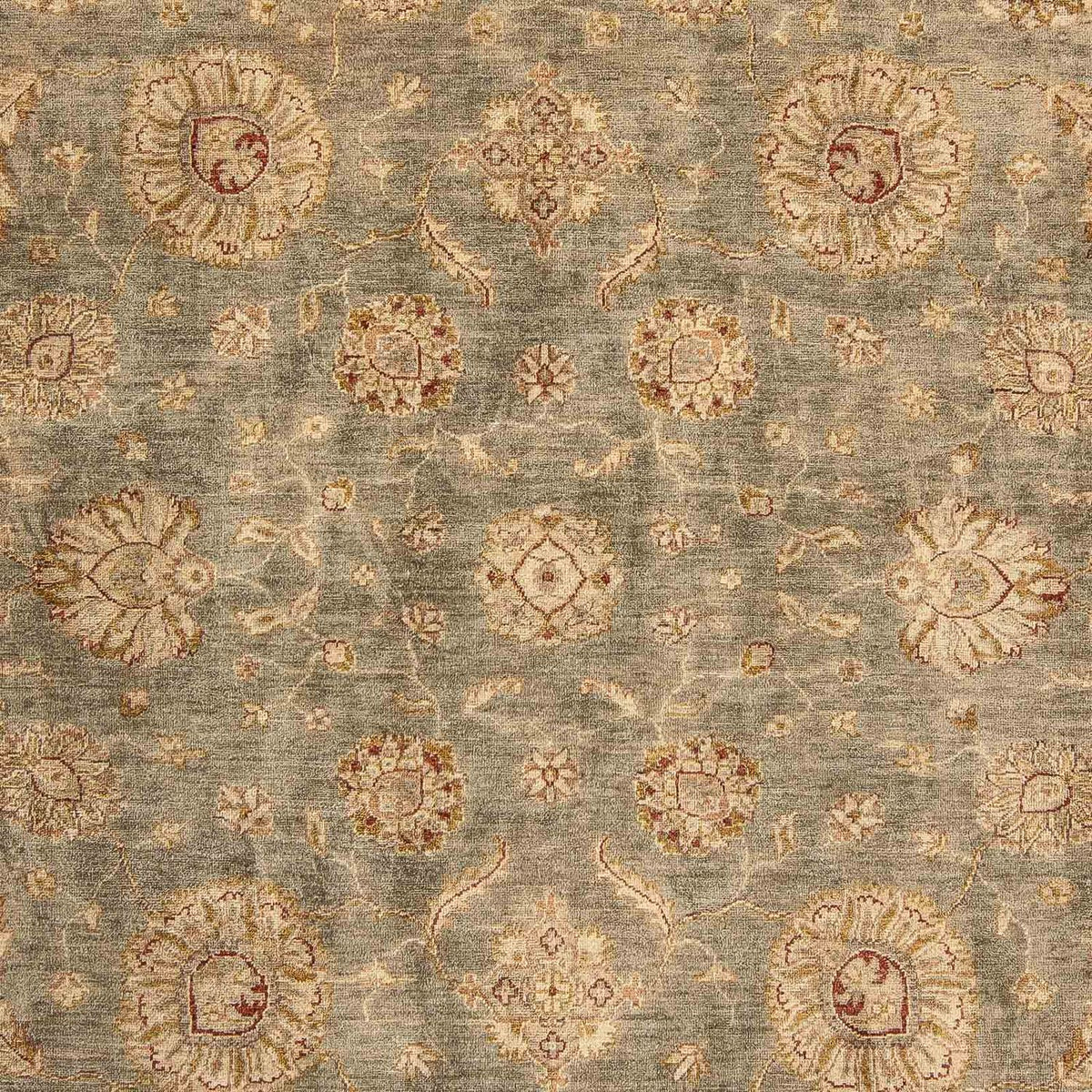 Ziegler Rug - 307 x 247 cm - light brown