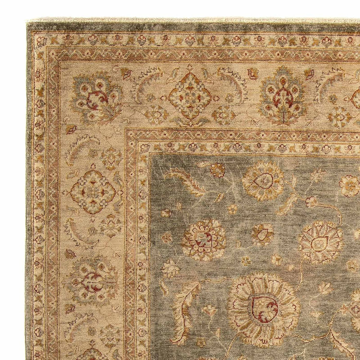 Ziegler Rug - 307 x 247 cm - light brown