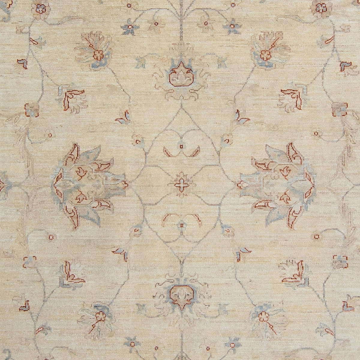 Ziegler Rug - 347 x 250 cm - light beige