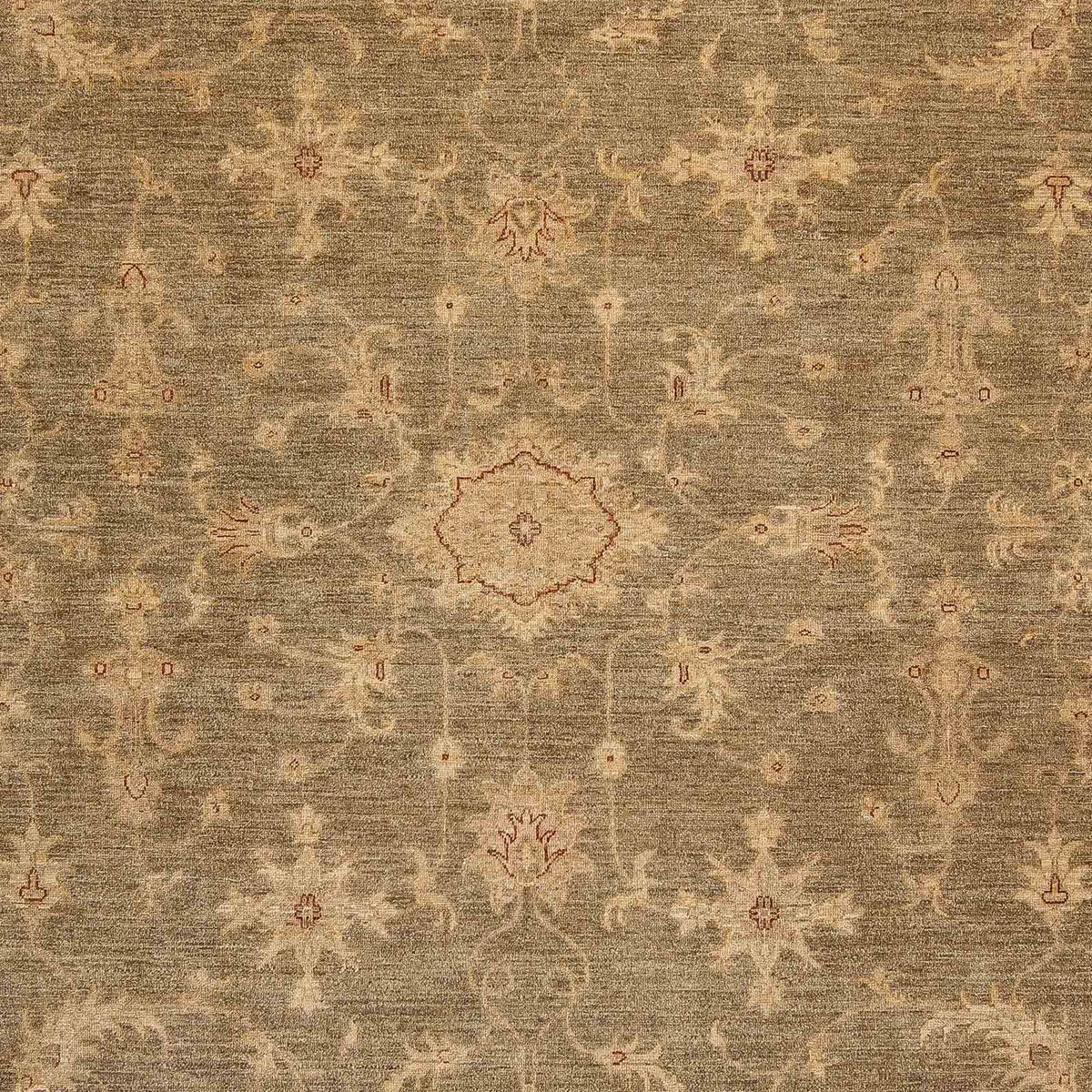 Ziegler Rug - 353 x 248 cm - light brown