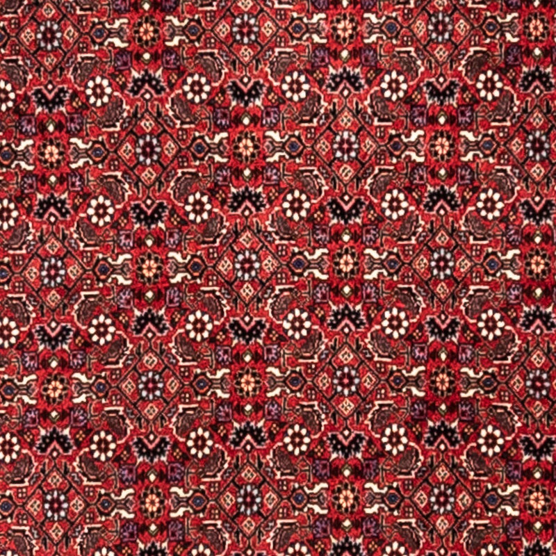 Perser Rug - Bidjar - 345 x 253 cm - red