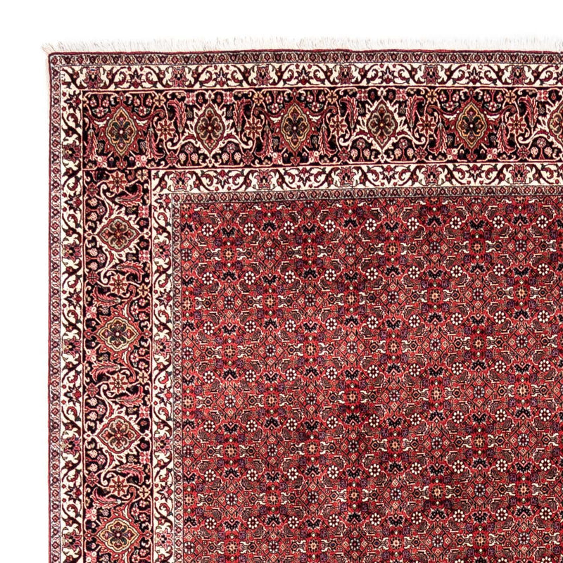 Perser Rug - Bidjar - 345 x 253 cm - red