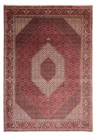 Perser Rug - Bidjar - 344 x 254 cm - light red