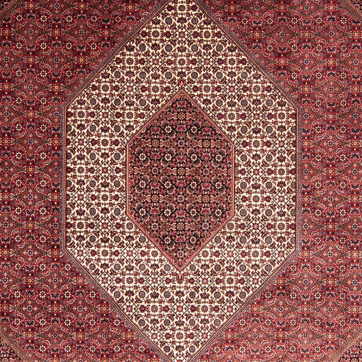 Perser Rug - Bidjar - 344 x 254 cm - light red