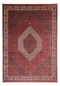 Perser Rug - Bidjar - 351 x 254 cm - light red