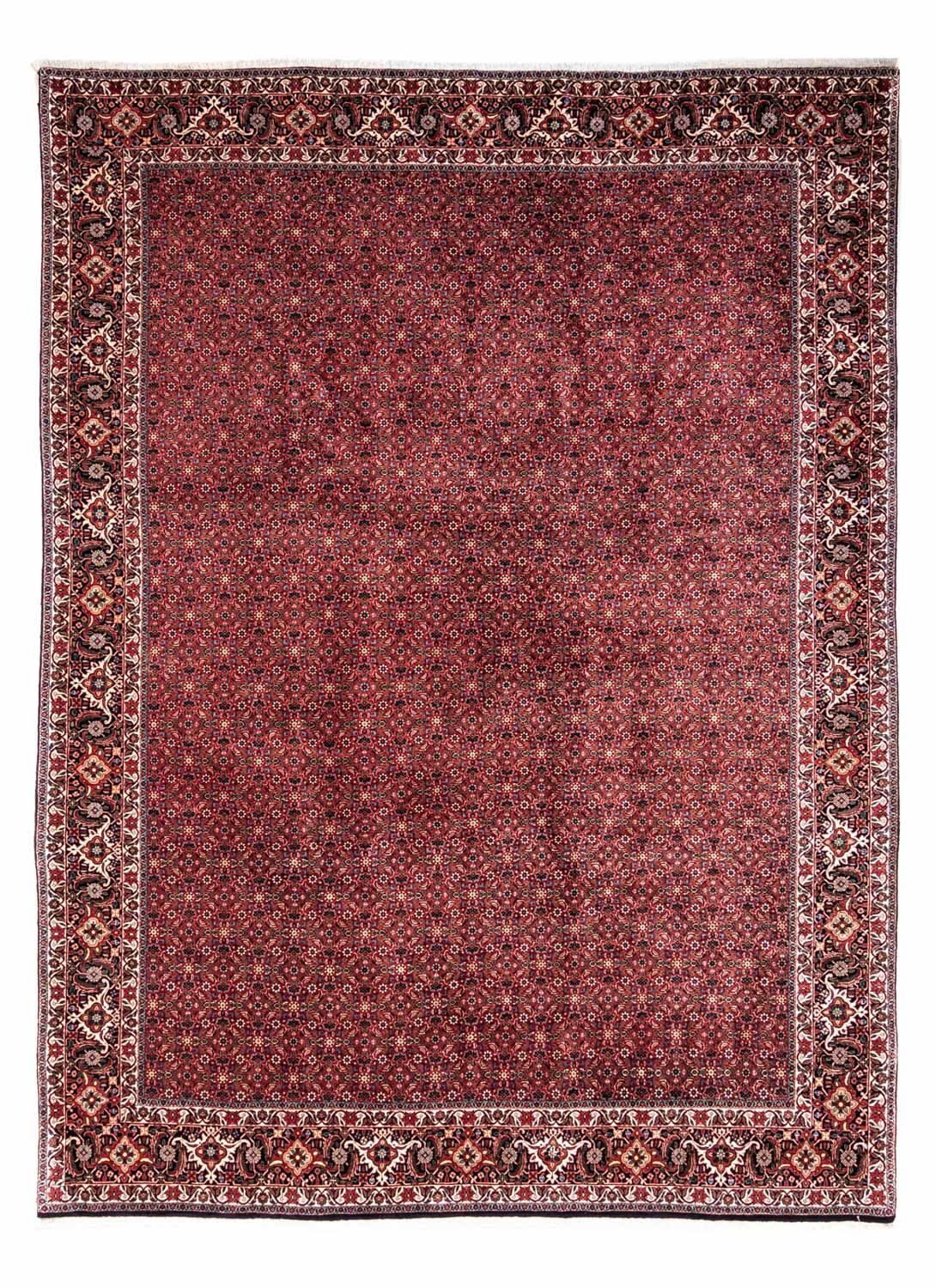 Perser Rug - Bidjar - 338 x 250 cm - red