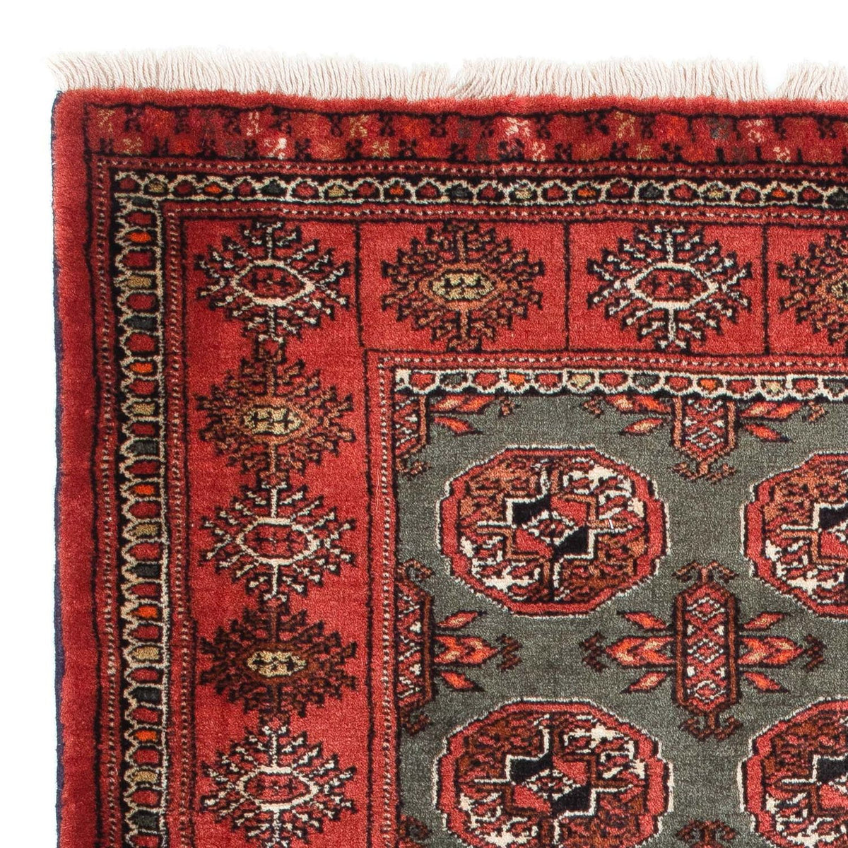 Belutsch Rug - 158 x 97 cm - grey