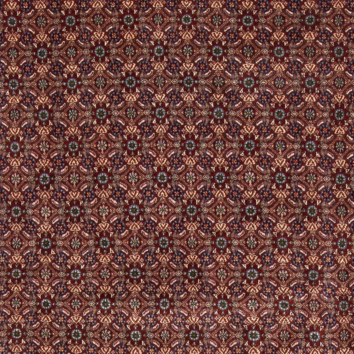 Perser Rug - Classic square  - 197 x 196 cm - dark red