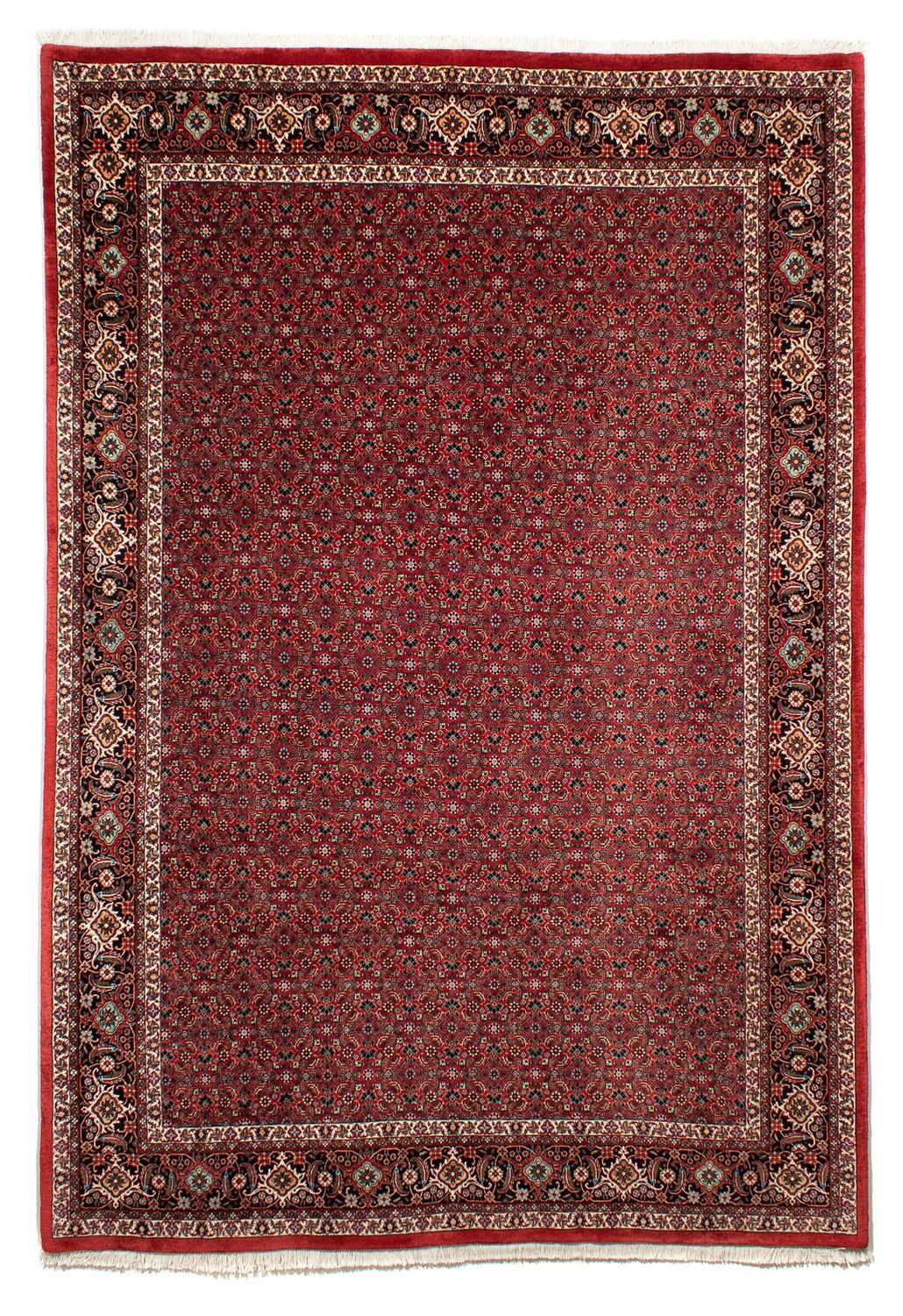 Perser Rug - Bidjar - 295 x 203 cm - dark red