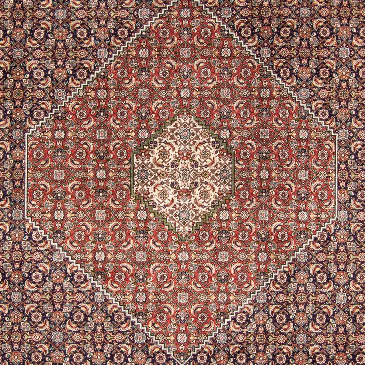 Perser Rug - Tabriz - 343 x 246 cm - multicolored