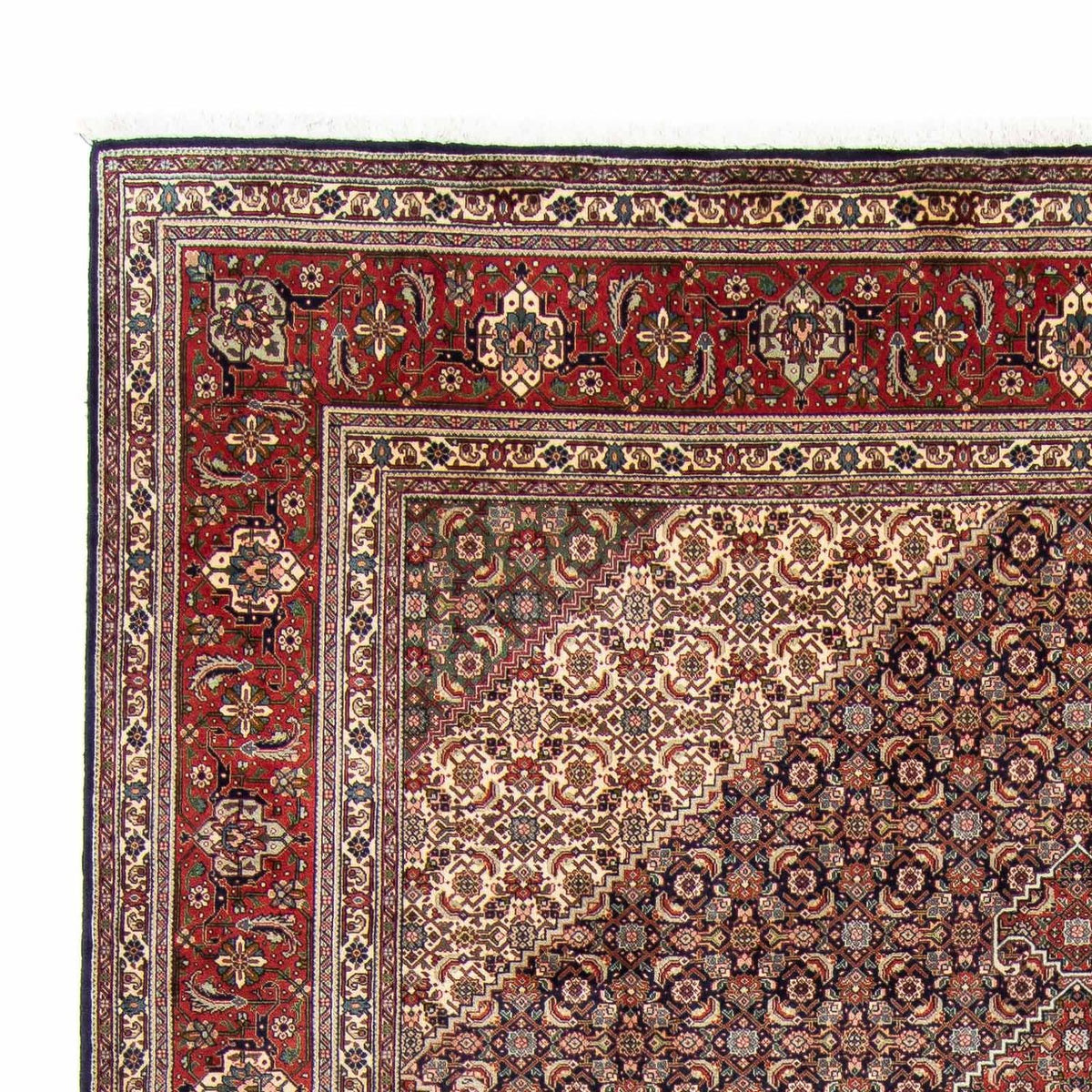 Tabriz Rug 246x343cm - Persian Rugs
