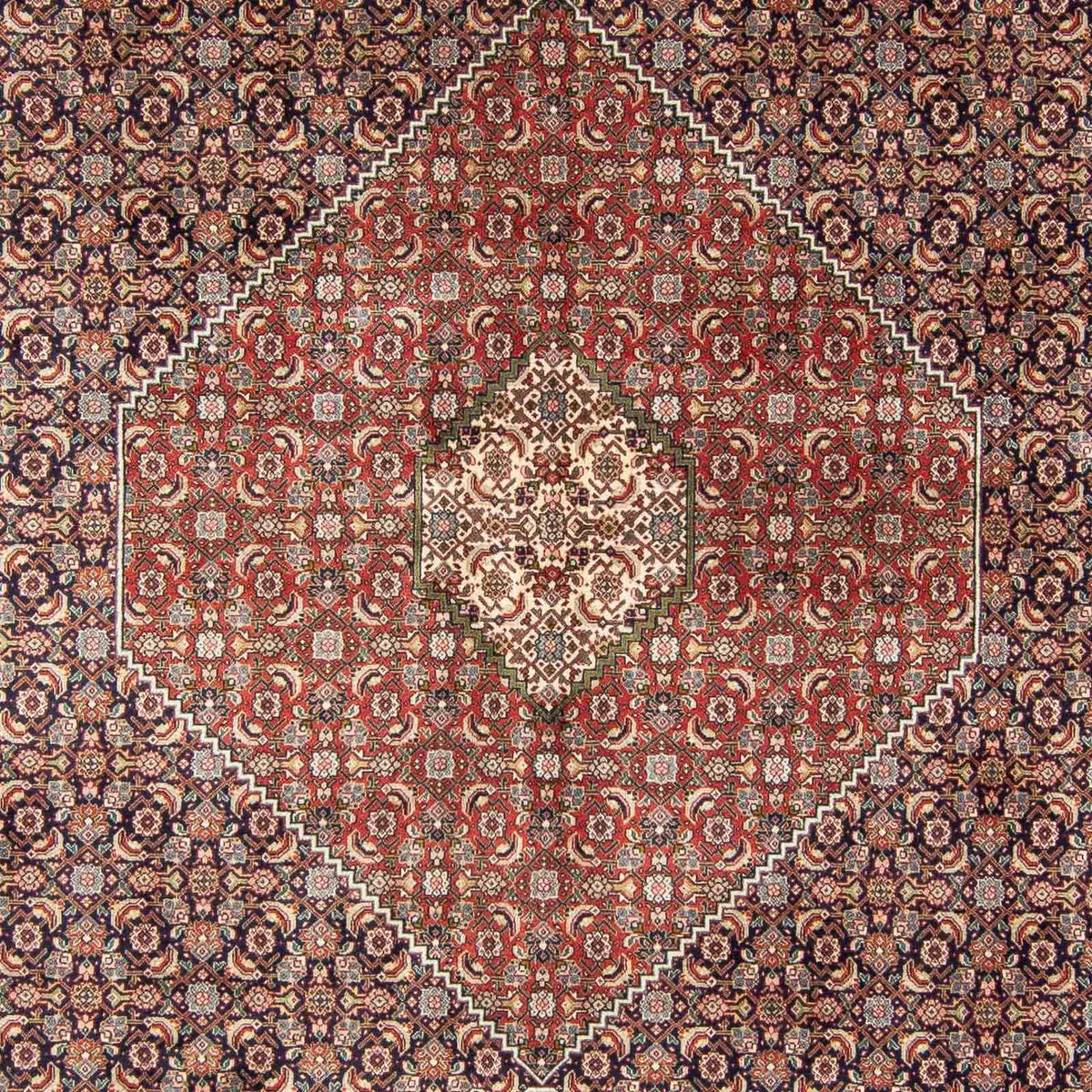 Perser Rug - Tabriz - 343 x 247 cm - multicolored