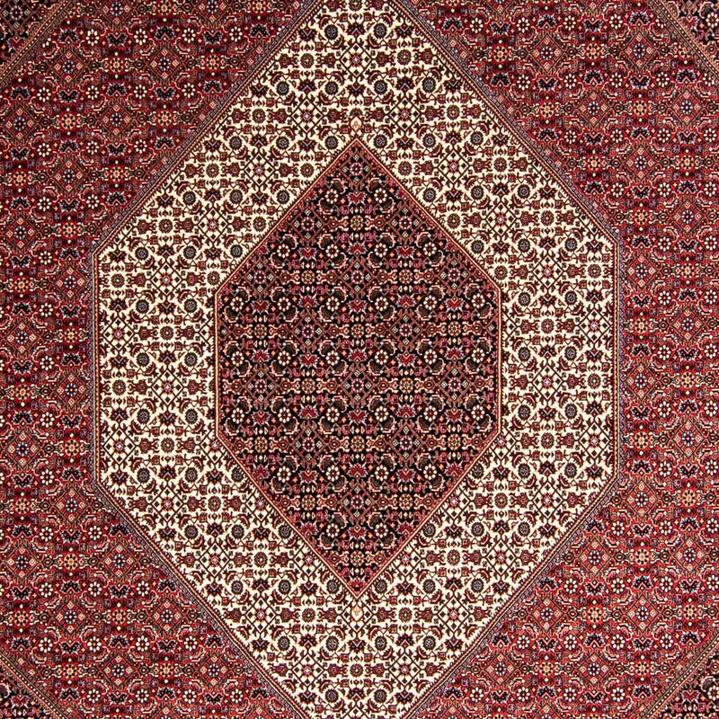 Perser Rug - Bidjar - 354 x 248 cm - light red