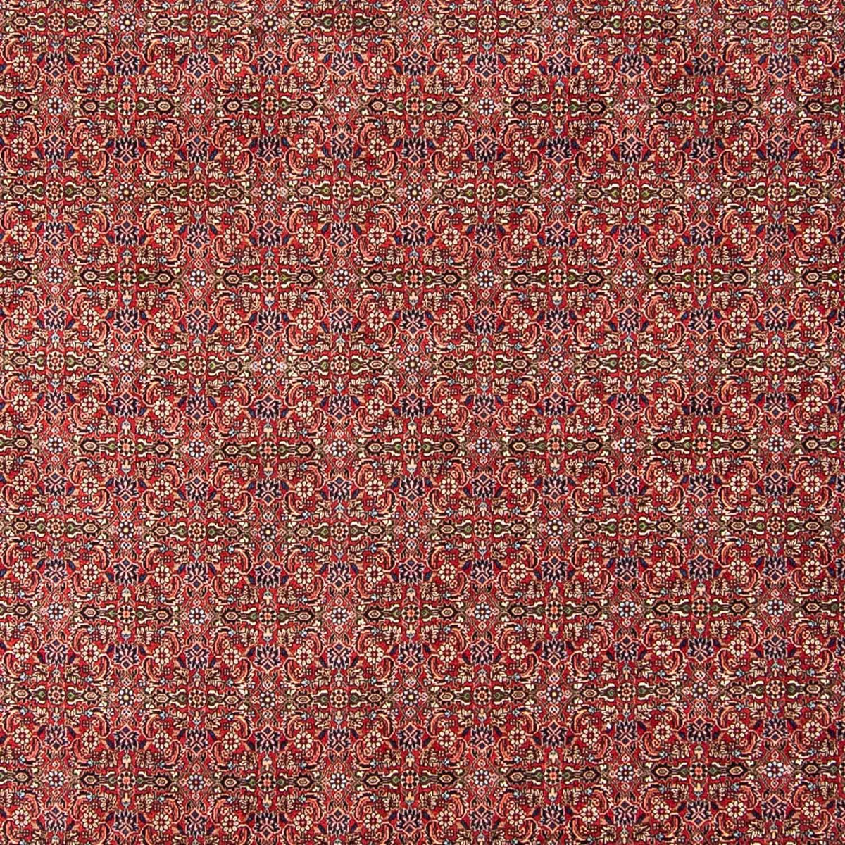 Perser Rug - Bidjar - 300 x 252 cm - dark red
