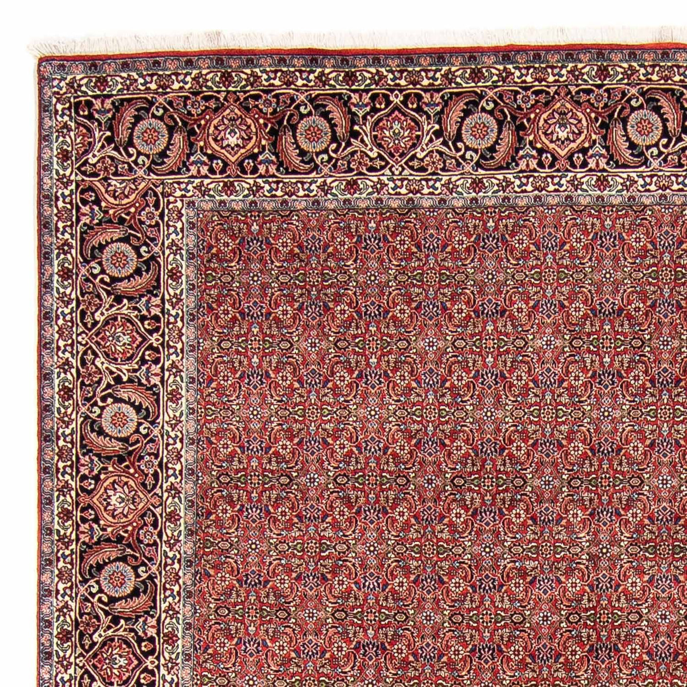 Bidjar Rug 300x252cm - Persian Rugs