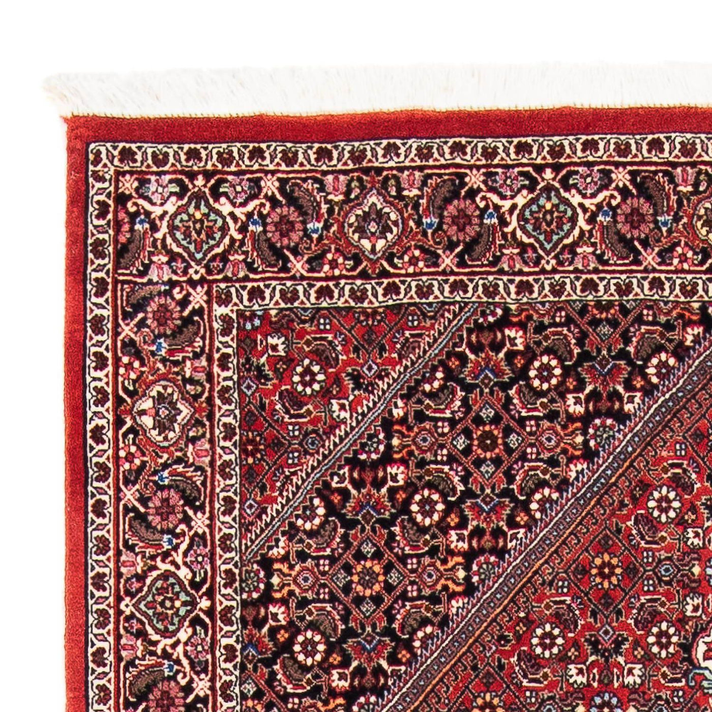Bidjar Rug 170x111cm - Persian Rugs