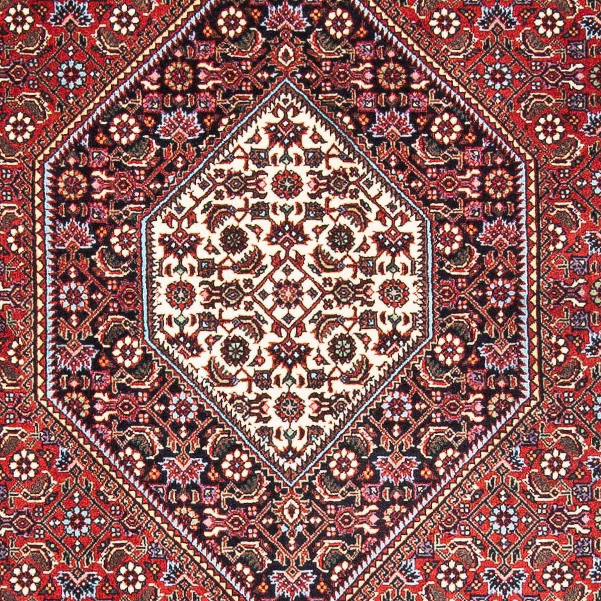 Perser Rug - Bidjar - 171 x 114 cm - red