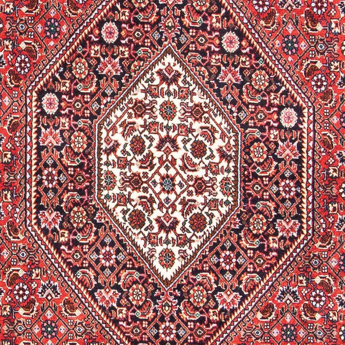 Perser Rug - Bidjar - 186 x 110 cm - red