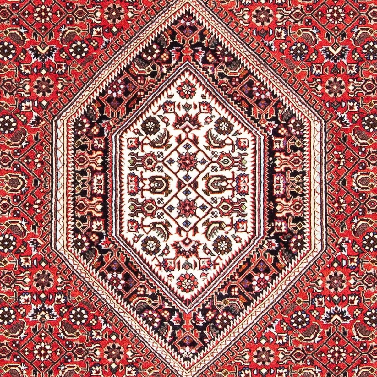 Perser Rug - Bidjar - 167 x 108 cm - red