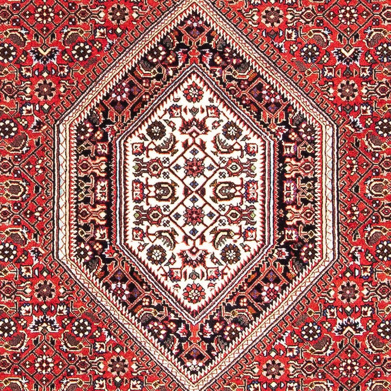 Perser Rug - Bidjar - 167 x 108 cm - red
