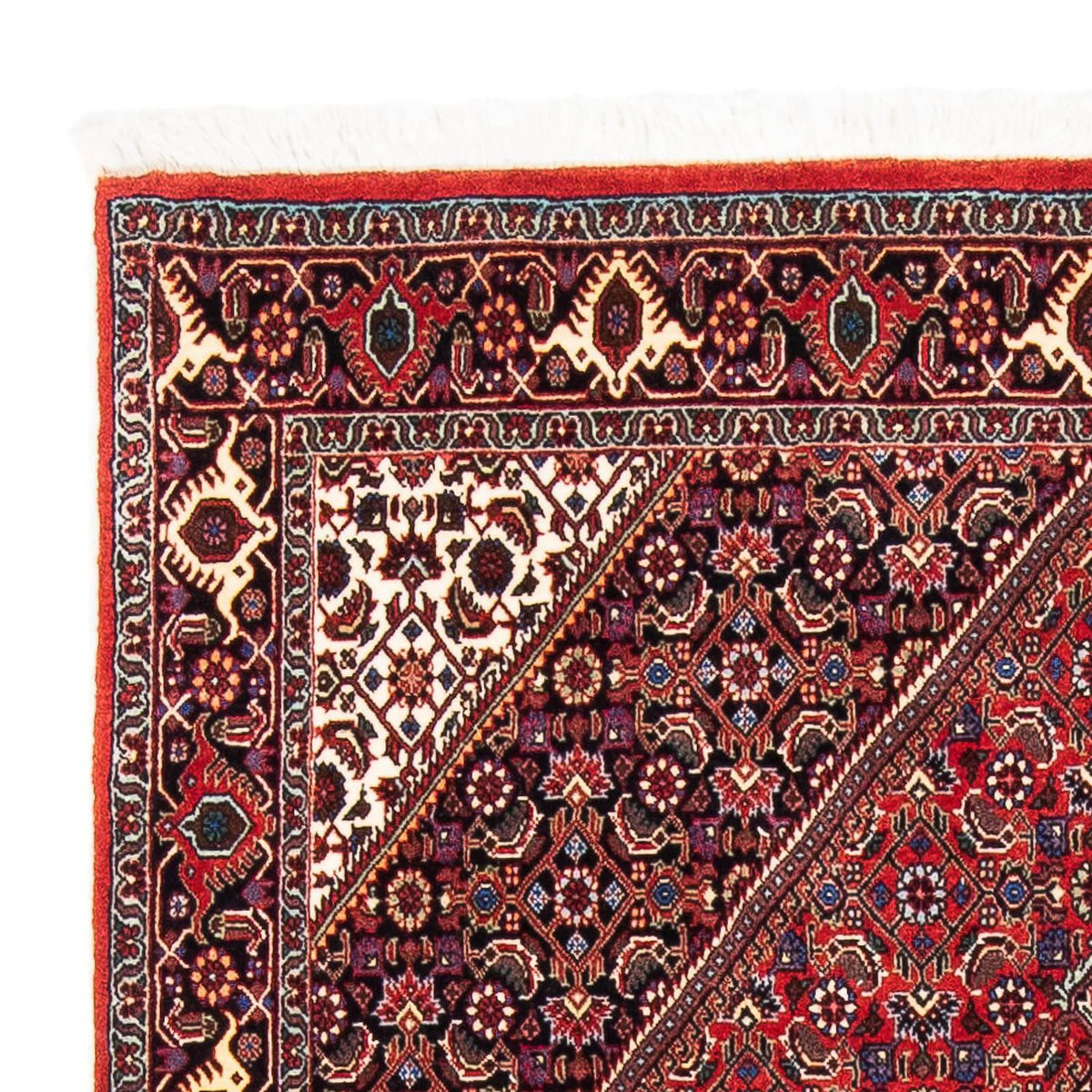 Bidjar Rug 112x176cm - Persian Rugs