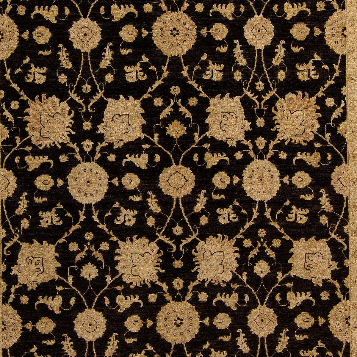 Ziegler Rug - 405 x 295 cm - brown