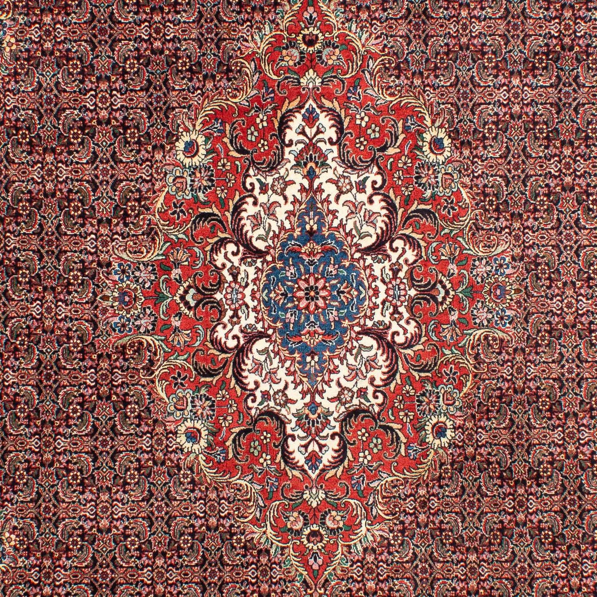 Perser Rug - Bidjar - 304 x 198 cm - light red