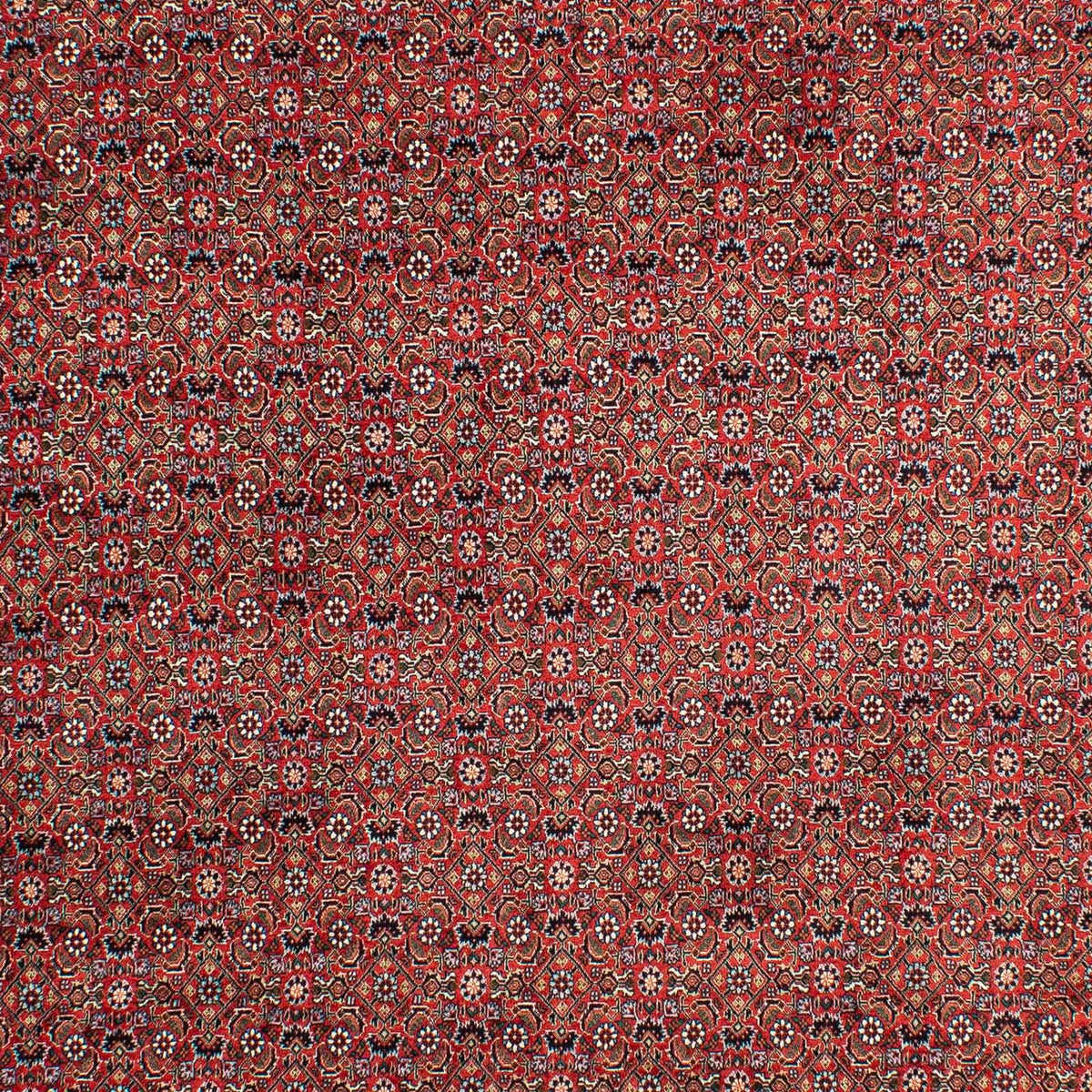 Perser Rug - Bidjar - 299 x 203 cm - light red