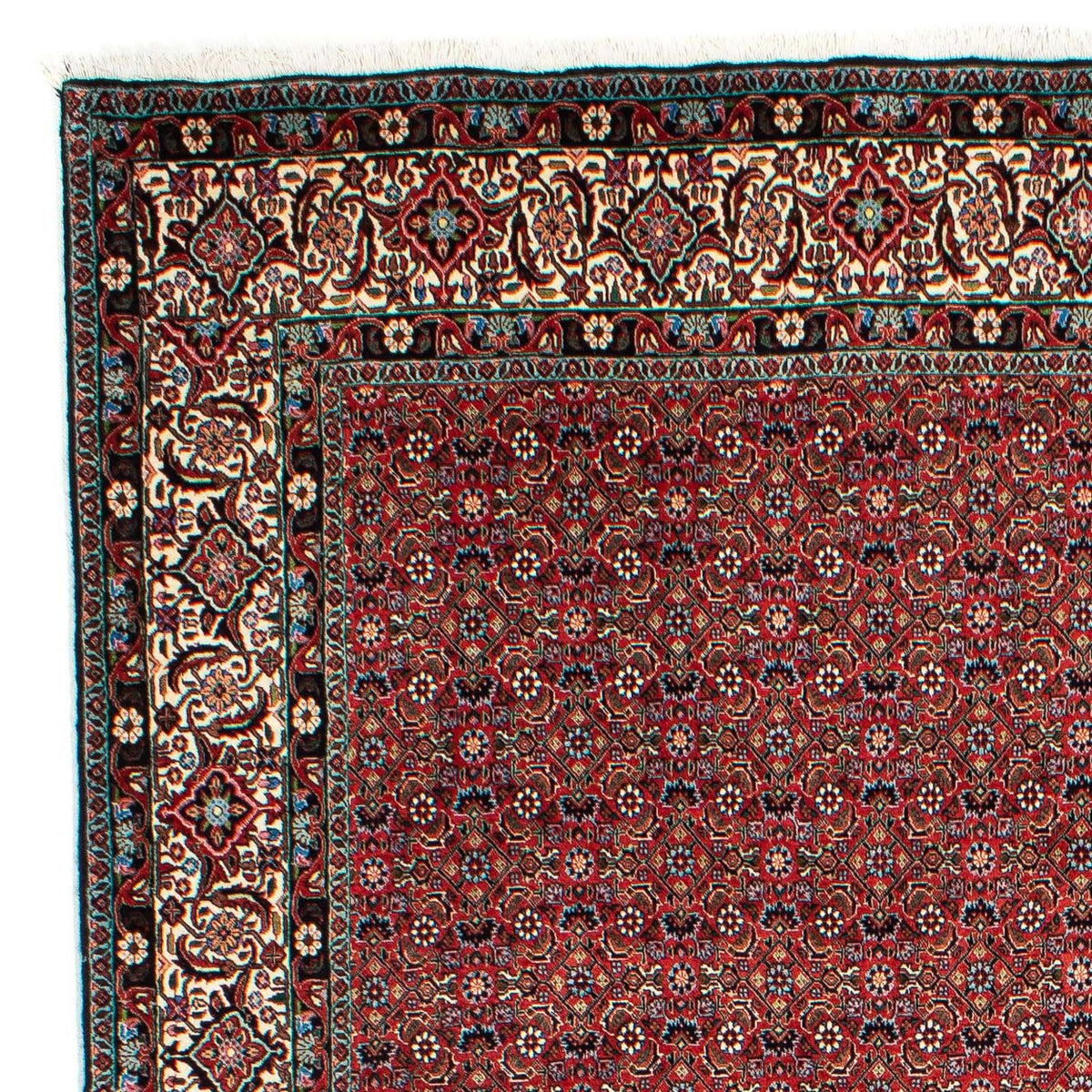 Perser Rug - Bidjar - 299 x 203 cm - light red