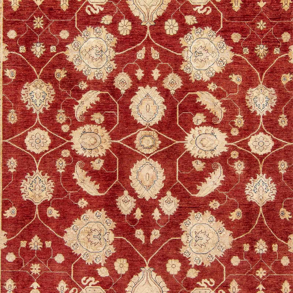 Ziegler Rug - 390 x 295 cm - dark red