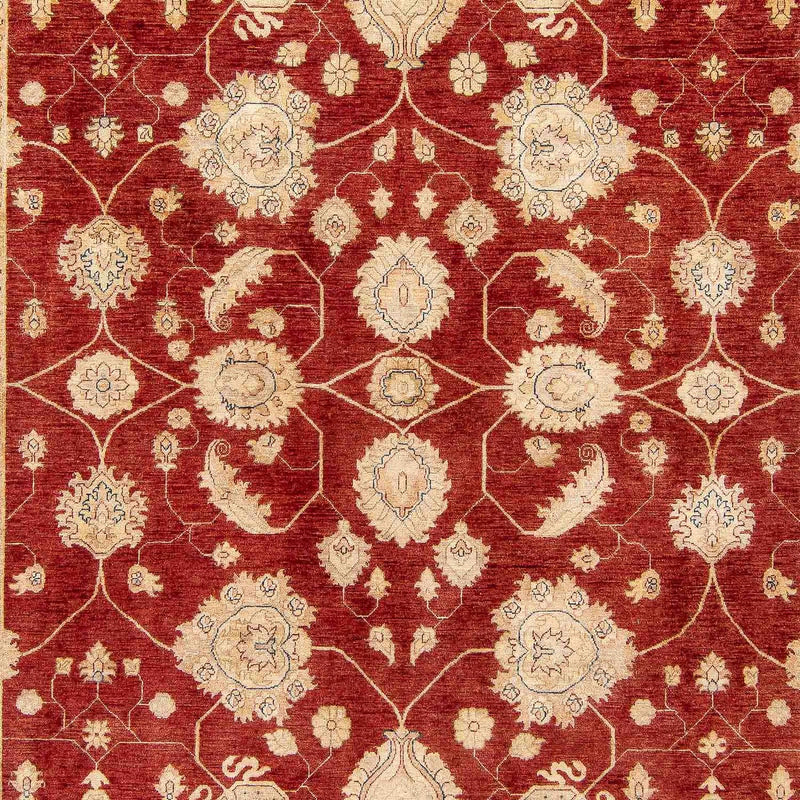 Ziegler Rug - 390 x 295 cm - dark red