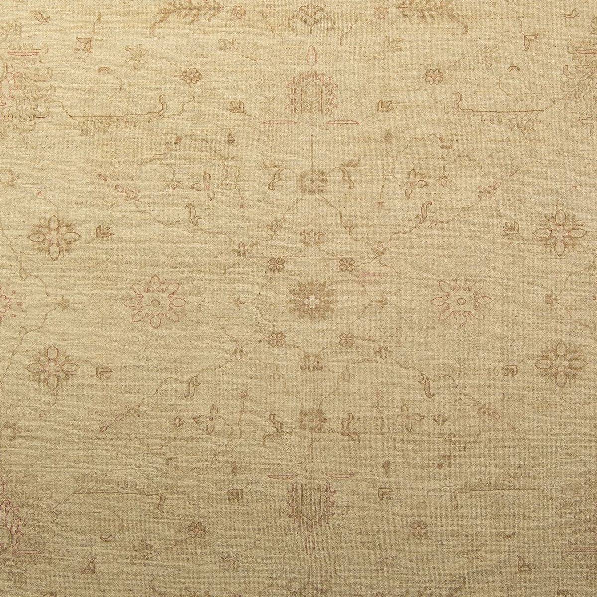 Ziegler Rug - 339 x 245 cm - light beige
