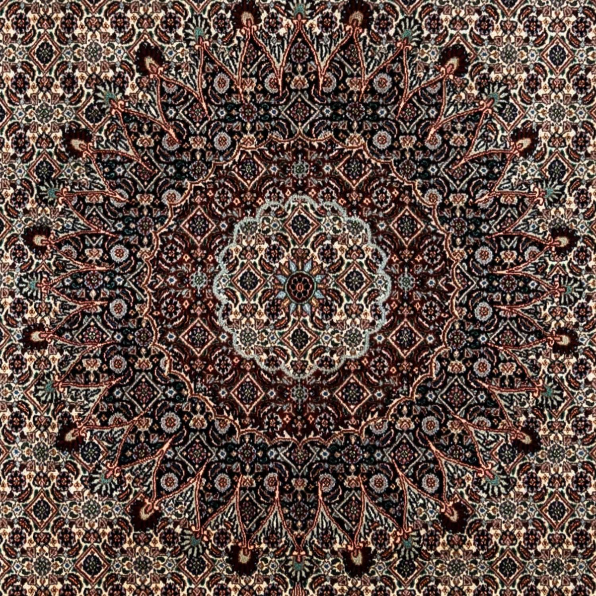 Perser Rug - Classic - 360 x 251 cm - beige