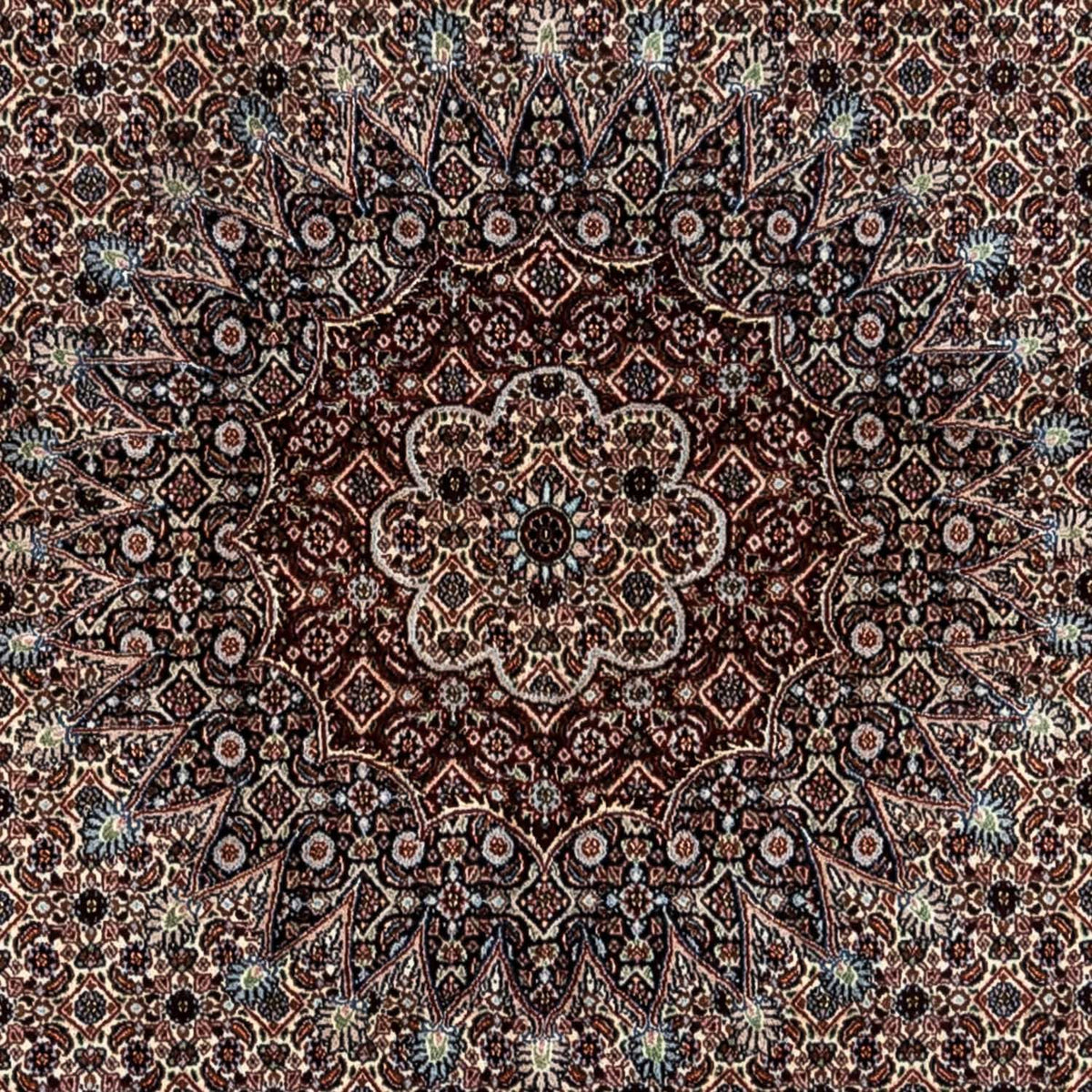 Perser Rug - Classic - 344 x 246 cm - beige