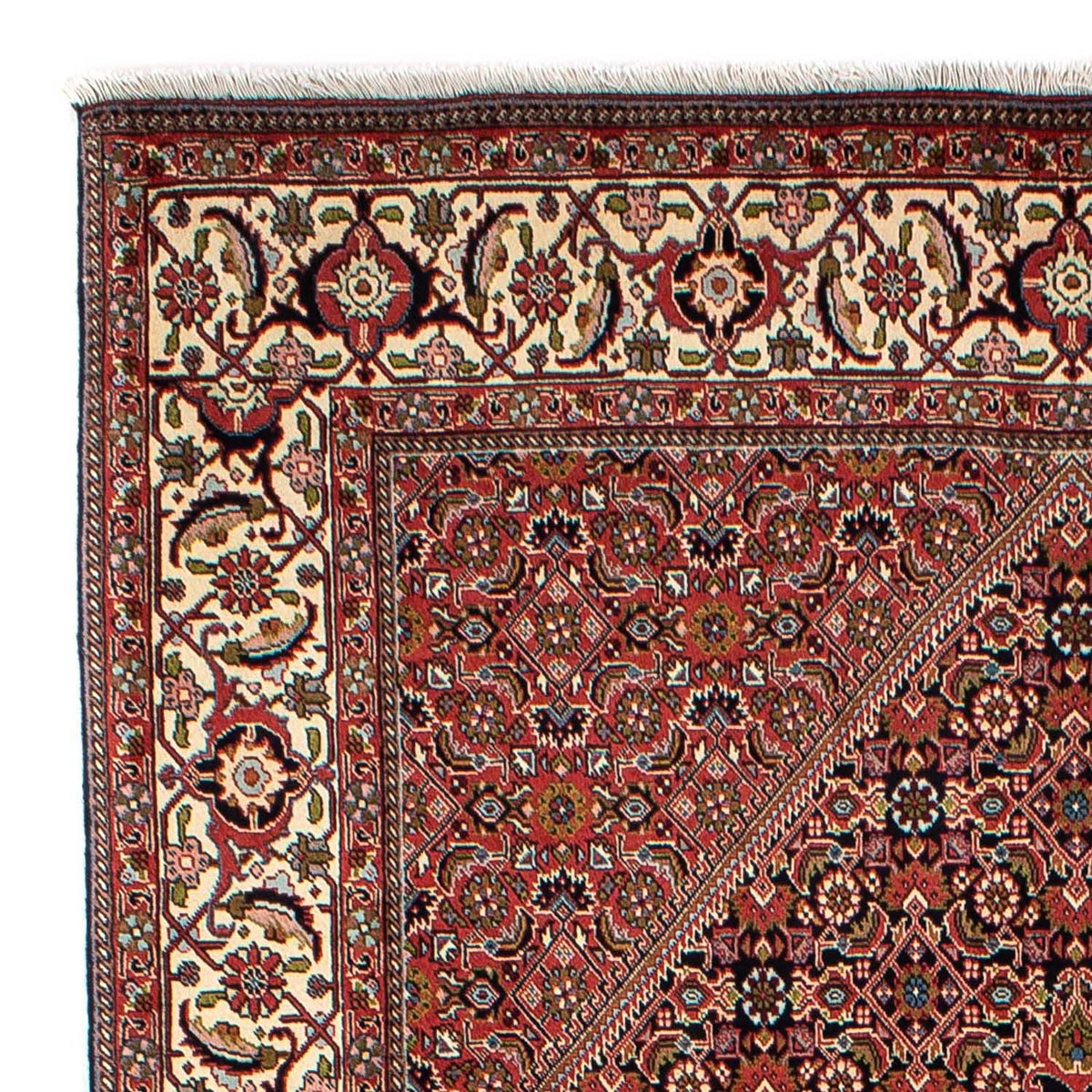 Bidjar Rug 171x270cm - Persian Rugs