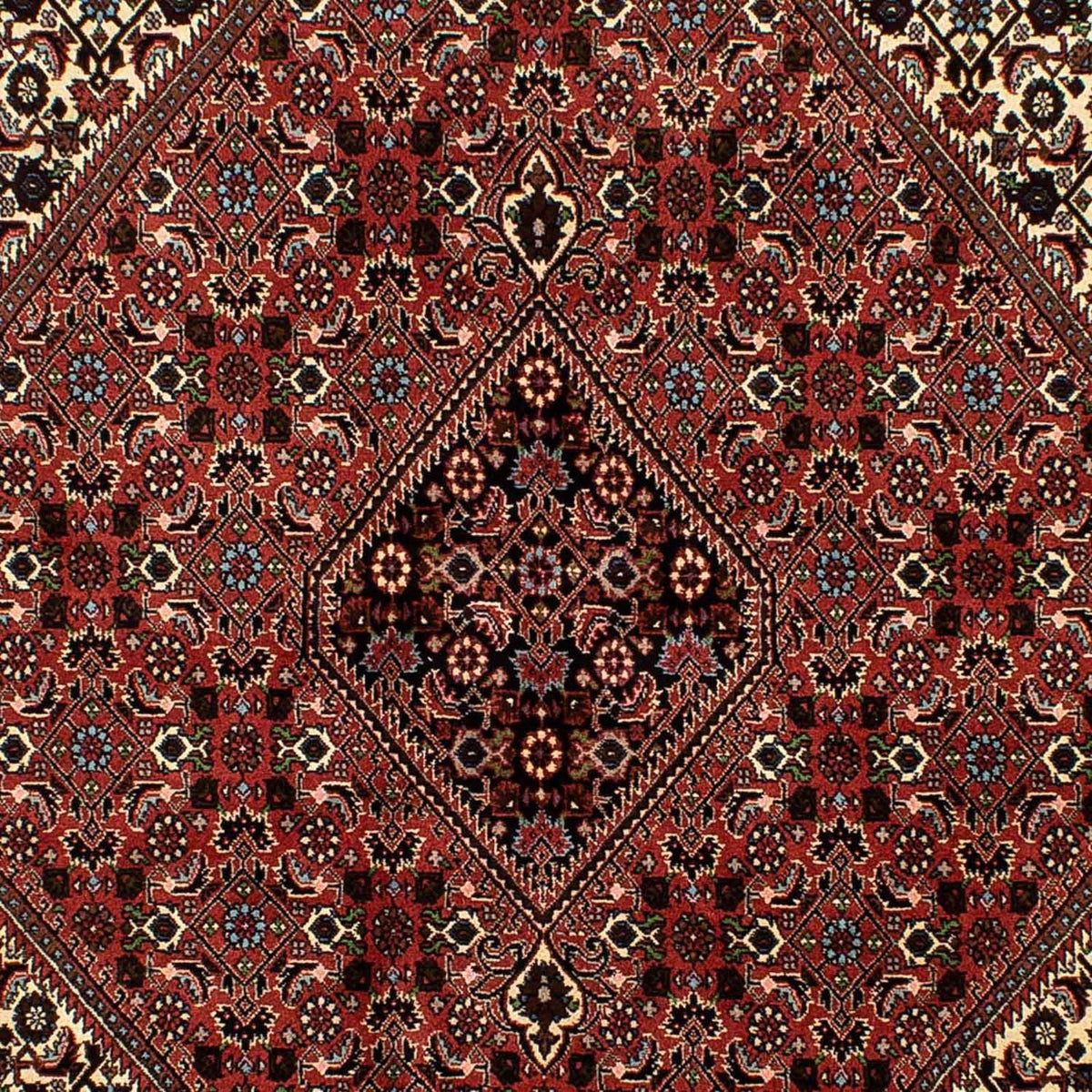 Perser Rug - Bidjar - 244 x 171 cm - dark red