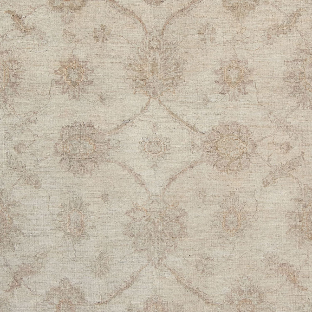 Ziegler Rug - 340 x 250 cm - beige