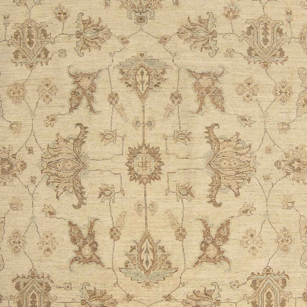 Ziegler Rug - 306 x 248 cm - light brown