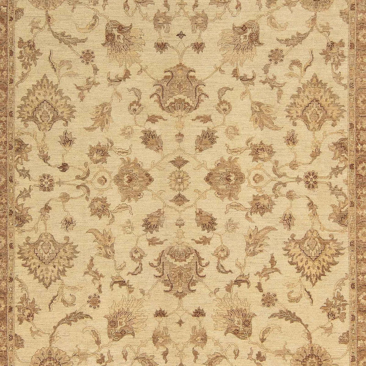 Ziegler Rug - 399 x 298 cm - beige