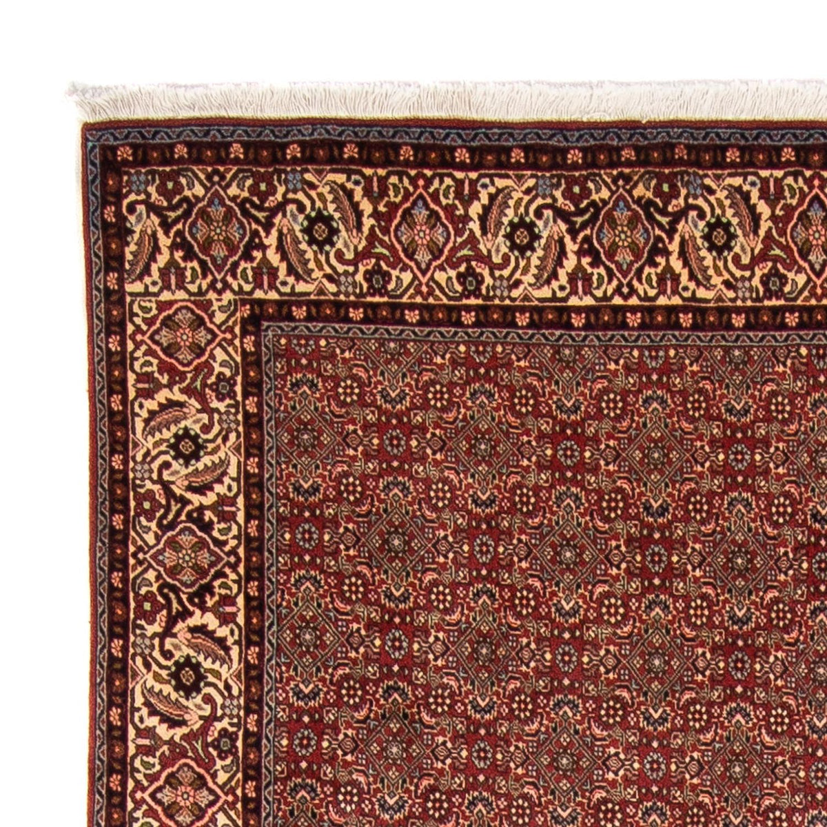Perser Rug - Bidjar - 298 x 200 cm - dark red