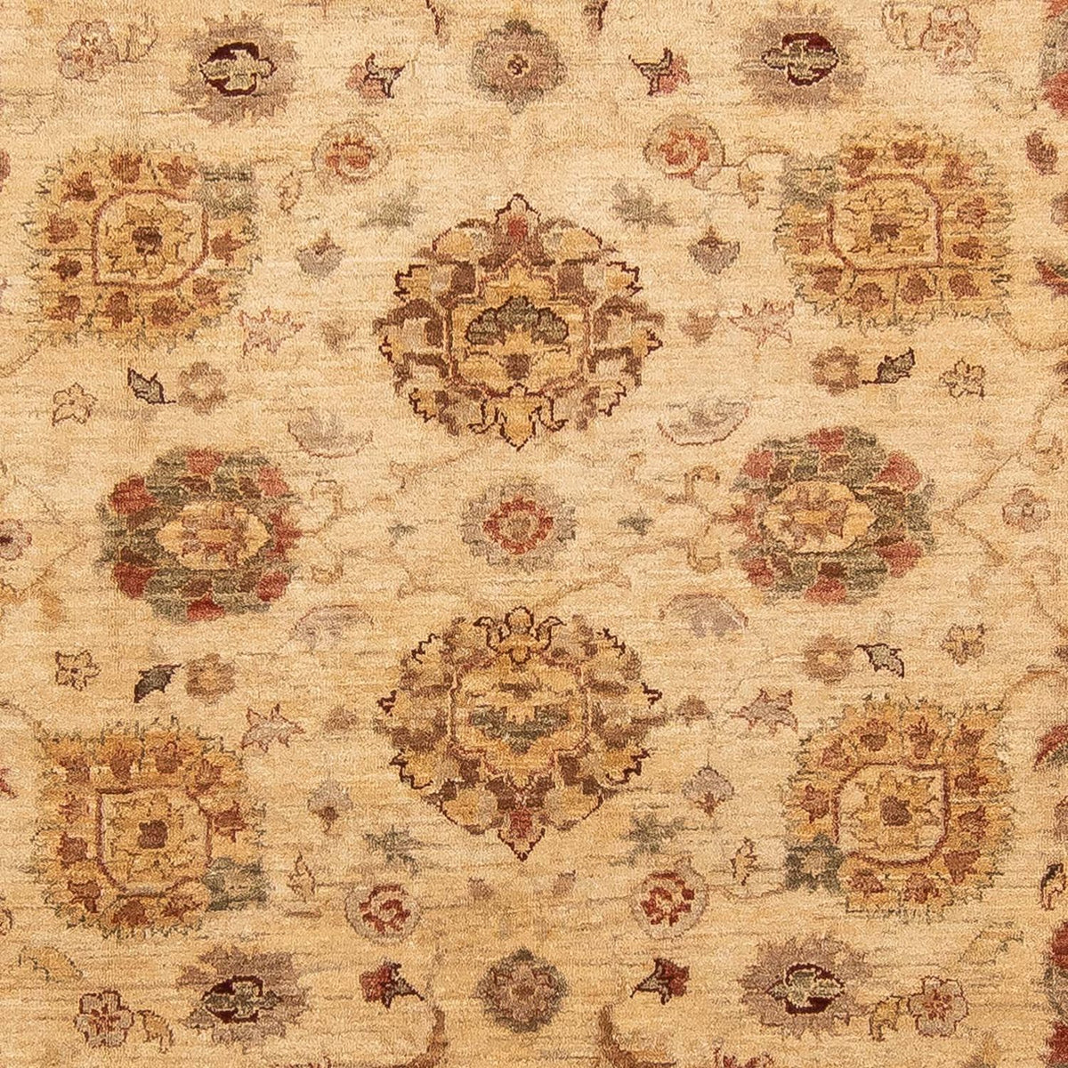 Ziegler Rug - 281 x 240 cm - light brown