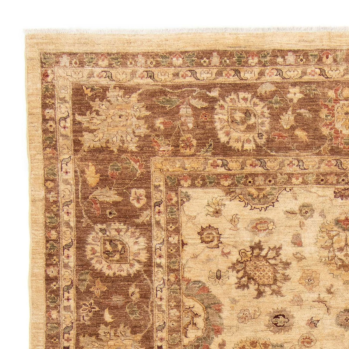 Ziegler Rug - 281 x 240 cm - light brown