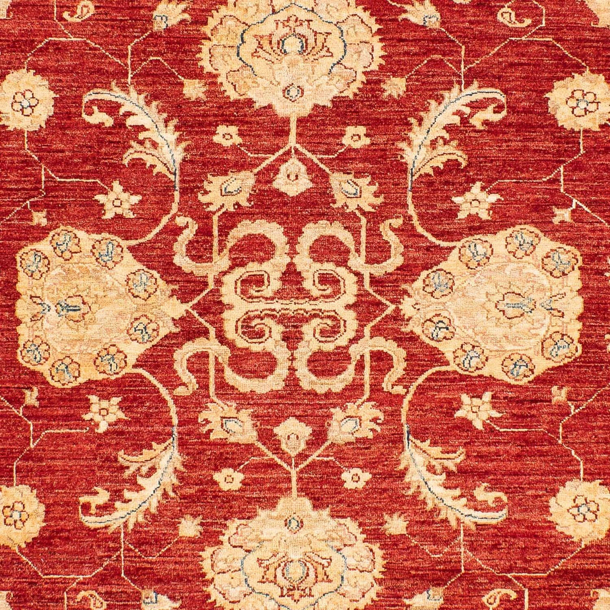 Ziegler Rug - 222 x 174 cm - dark red