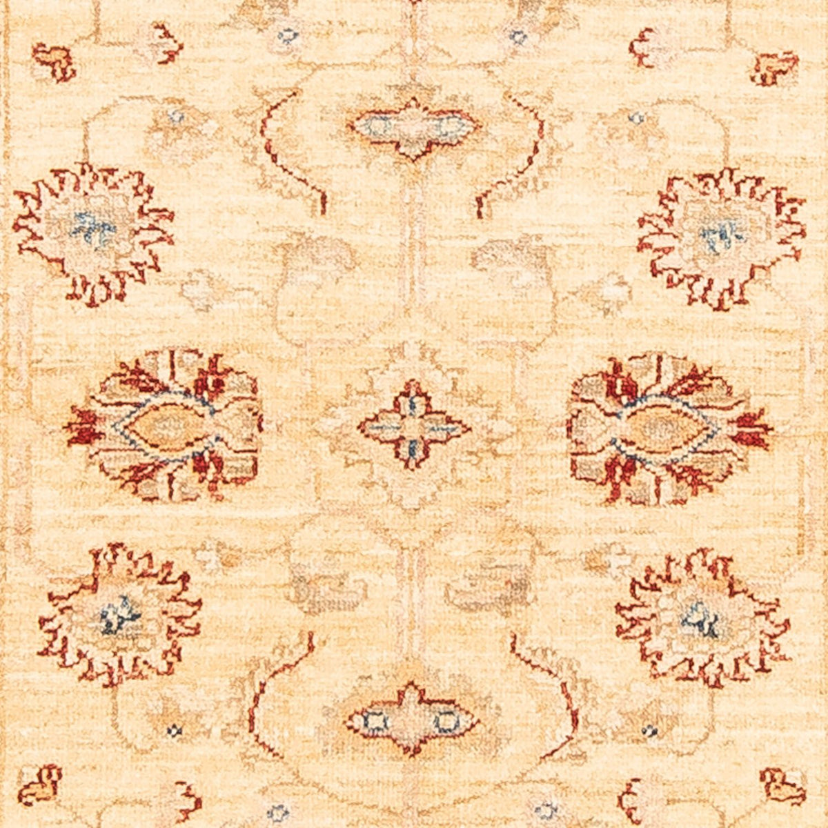 Runner Ziegler Rug - 232 x 82 cm - beige