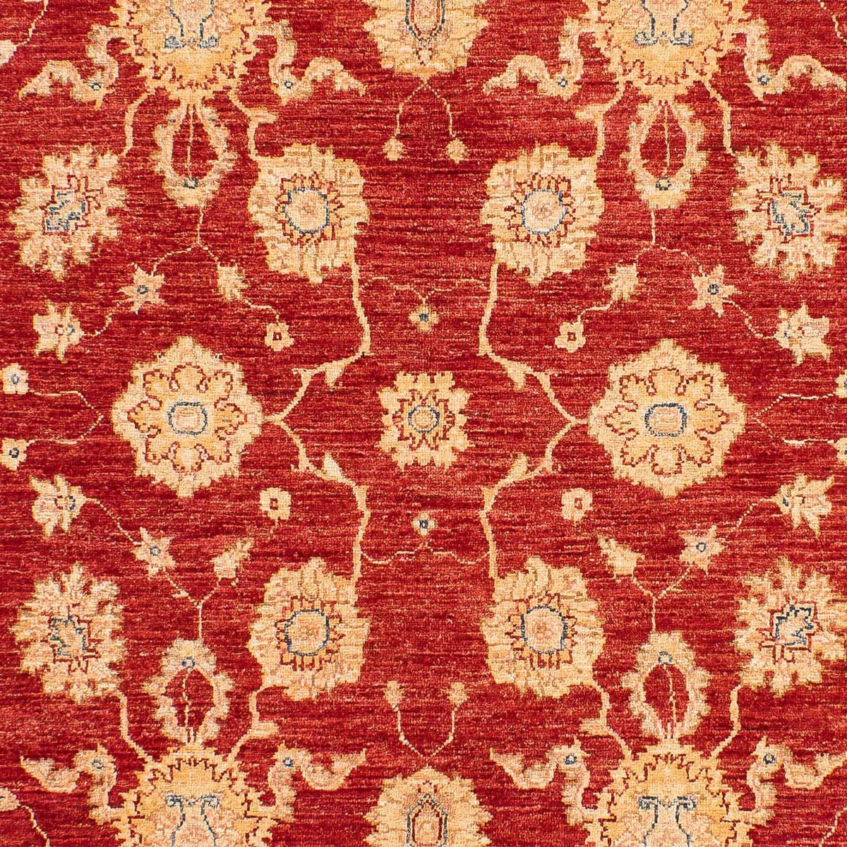 Ziegler Rug - 245 x 163 cm - red
