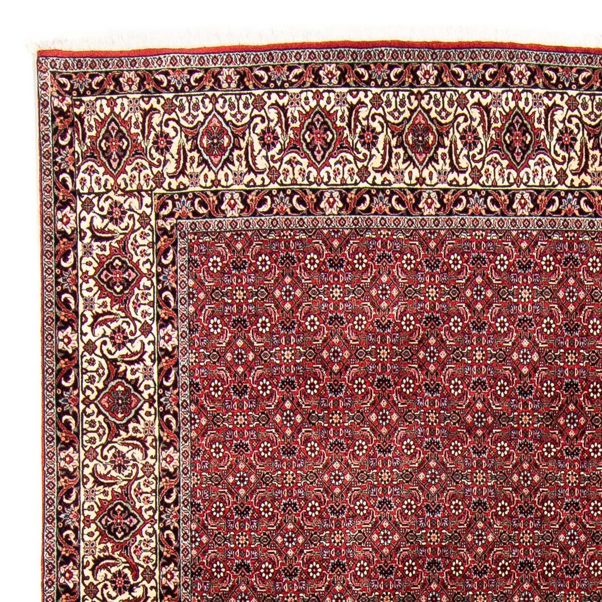 Perser Rug - Bidjar - 300 x 253 cm - dark red