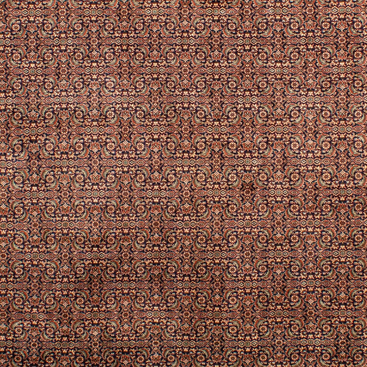 Perser Rug - Bidjar - 298 x 202 cm - multicolored