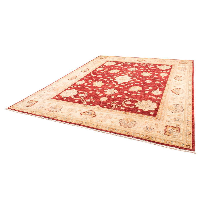 Ziegler Rug - 310 x 243 cm - red