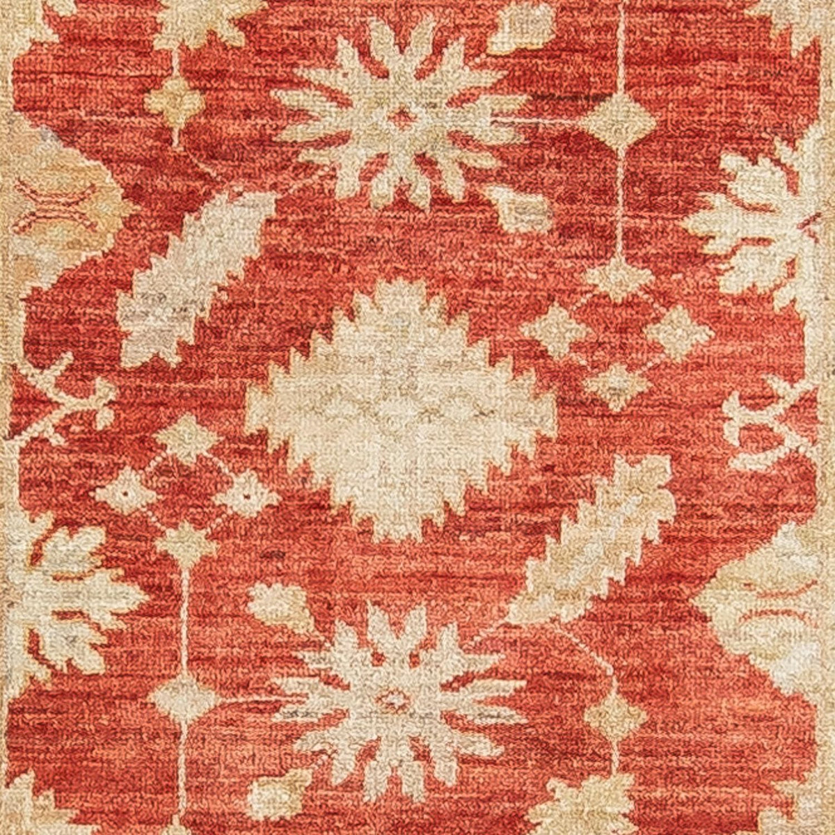 Runner Ziegler Rug - 289 x 81 cm - red